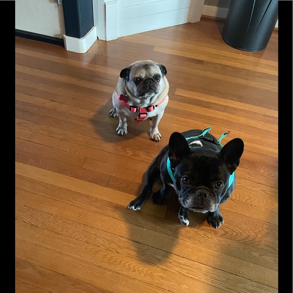 Meet your Posher, Cristina - Picture 1 of 1